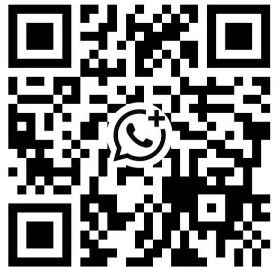 WhatsApp 商业账户二维码